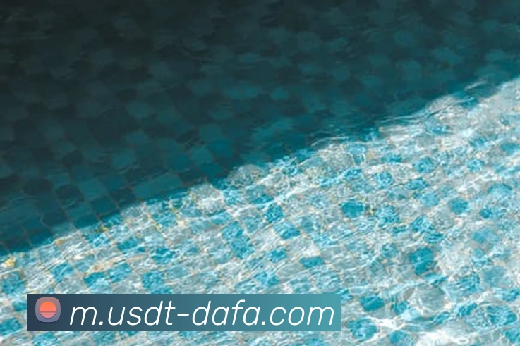 大发彩票平台生态图