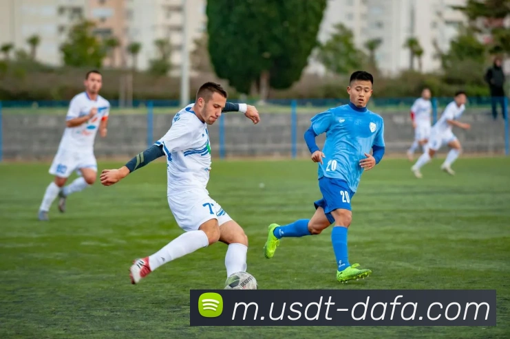 大发彩票APP 封面图